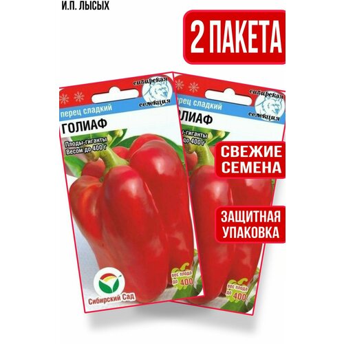 ������ ������ ������ ����� ������ 15�� ����