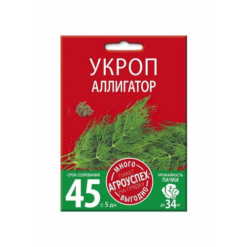 ������ ������ ����� ���������, ������ ��������� �����-������� 10� ����