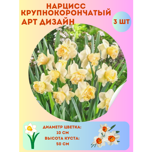 ������ ������ ������� �� ������, ����������� �����, �������� 3 �� ����