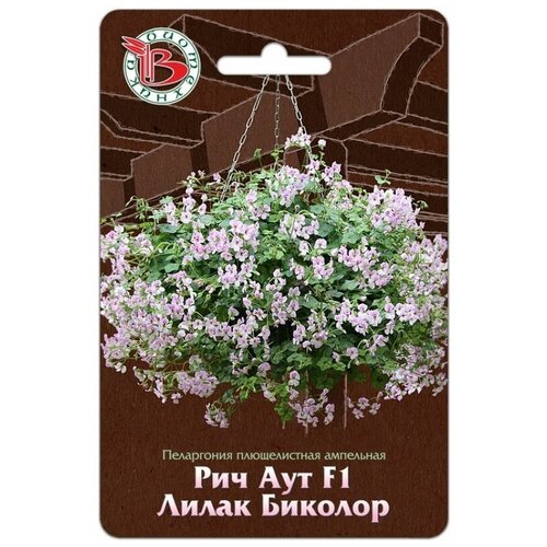 ������ ������ ������ ���������� ������������ ��������� 