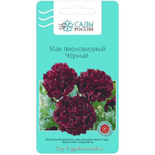 ������ ������ ������ ���� ������������ 