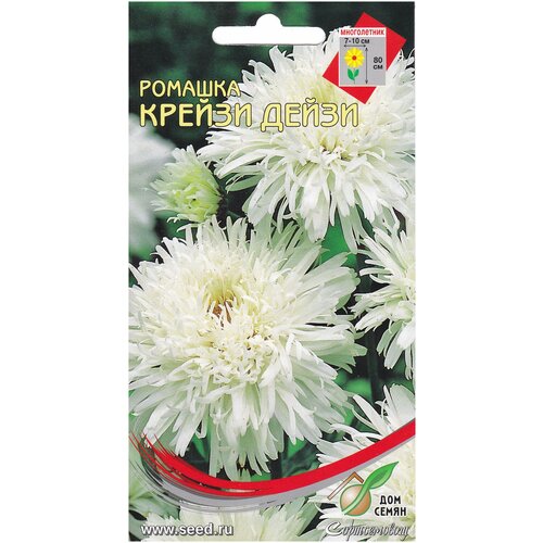 ������ ������ ������� ����������� ������ �����, 30 ����� ����