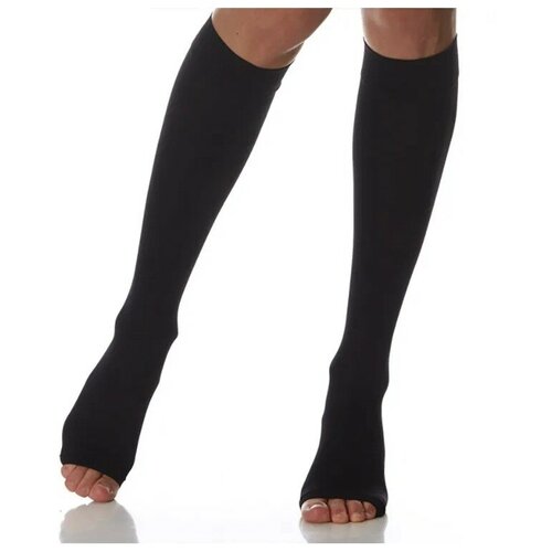 ������ ������ ������ ������� Ergoforma, 2 ����� ����������, 322, ���� ������, ������ 5 ����