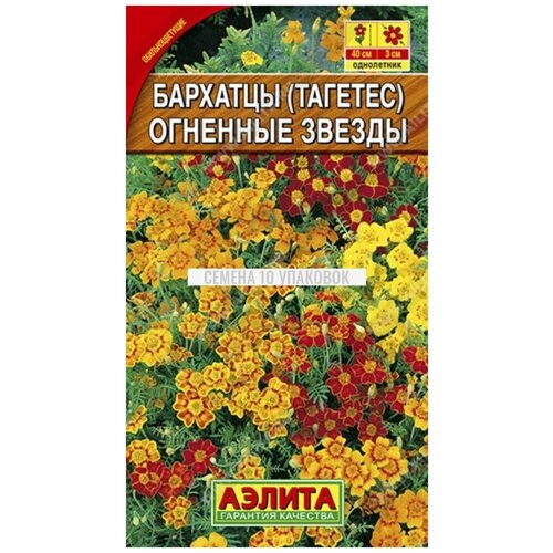 ������ ������ ������ �������� 