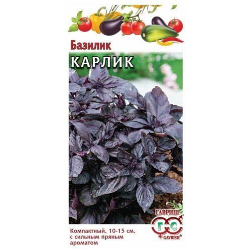 ������ ������ ������� ���������� ������ ����