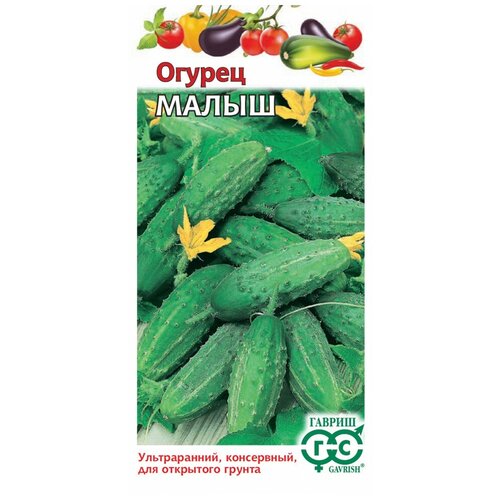 ������ ������ ������ ������ ����� 0,5 �� ����