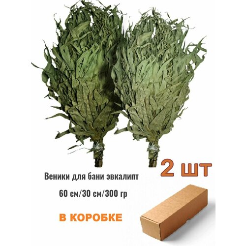 ������ ������ ����� ��� ���� ������������ 2 �� ����