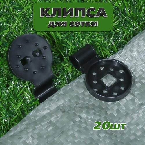 ������ ������ ������ ��� ��������� ����� �������, ������. 20��. ����