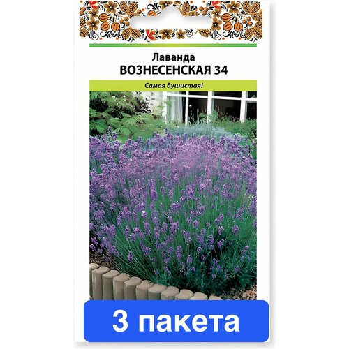 ������ ������ ������� ������������ 34 3 ������ ����