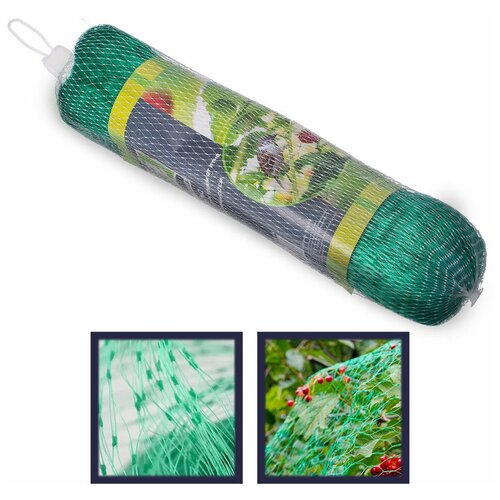 ������ ������ ����� INBLOOM ��� ������ ������ �� ���� 4�5�, ����������, ������� ����