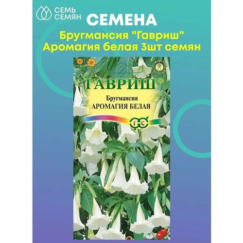 ������ ������ ���������� 