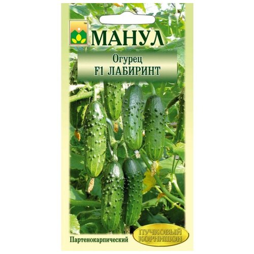 ������ ������ ������ ����� 