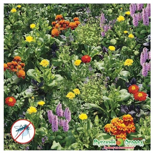 ������ ������ �������� ������ ���������� ��� ���� ����