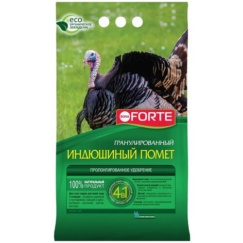 ������ ������ ��������� BONA FORTE ��������� �����, 2 �, 2000 �, 1 ��. ����