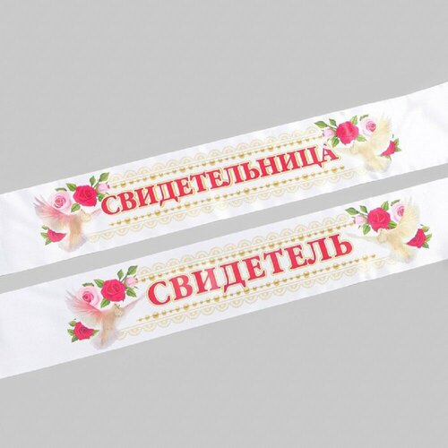 ������ ������ ����� ���� 