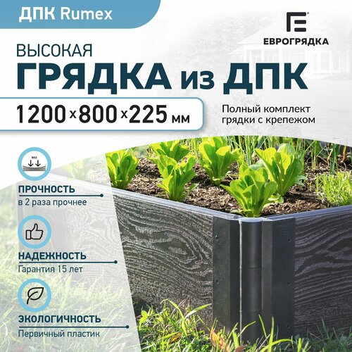 ������ ������ ������ �� ��� 1.2 � x 0.8 �, (����� Rumex: 225�30 ��, ����: �����) ����