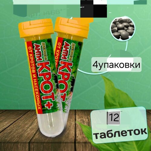 ������ ������ �������� 