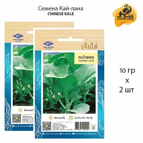 ������ ������ ������ ��������� �������� ��� ��� 2�10 � �������, Chinese Kale Seeds / Thai Chok Dee ����