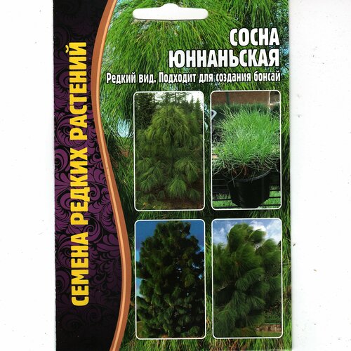 ������ ������ ����� ���������� / ������ ���, �������� ��� ������ ( 1 �� : 25 ����� ) ����