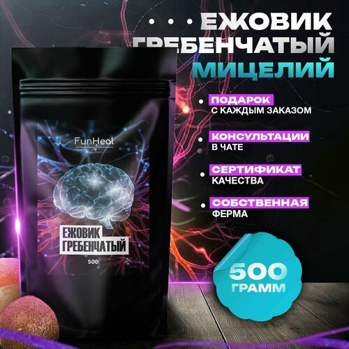 ������ ������ ������ ����������� ������� ������� ����