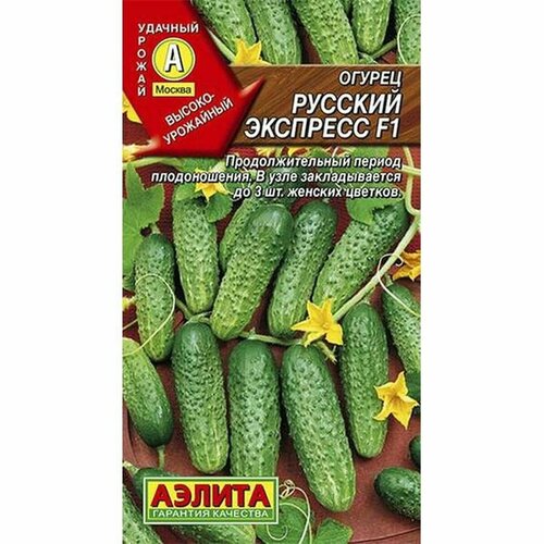 ������ ������ ������ ������ ������� �������� ��, ������������, (������) 10�� ����