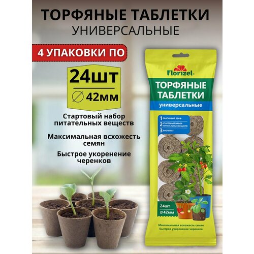 ������ ������ �������� �������� ������������� ��� ����� � ������� 4 �������� �� 24 �� ������� 42 �� ����