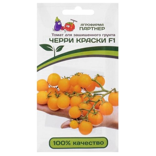 ������ ������ ������ ��������� ������� ����� ����� ������ F1 5 �� ����