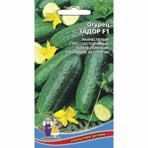 ������ ������ ������ ������ ����� F1 ����, �����������, 10�� ����