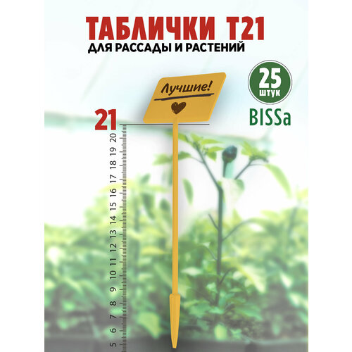 ������ ������ ������� �������� ��� ������� � ��������, Bissa �21, ������, 25 �� ����