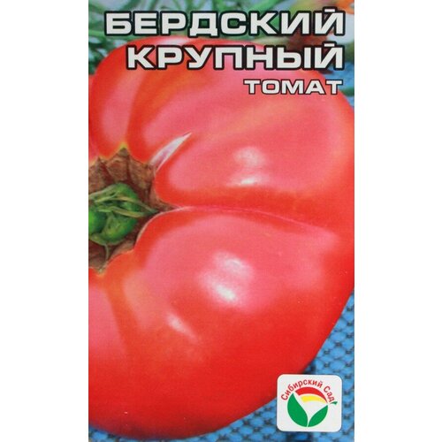 ������ ������ ������ ����� �������� ������� 20�� ������� (��������� ���) ����