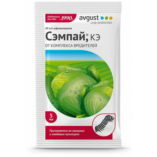 ������ ������ �� ���������� ������ 5�� ����