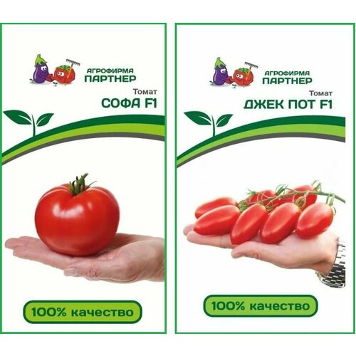 ������ ������ ����� ����� ���� F1 + ���� ��� F1 ������ ������� (2 ��������) ����