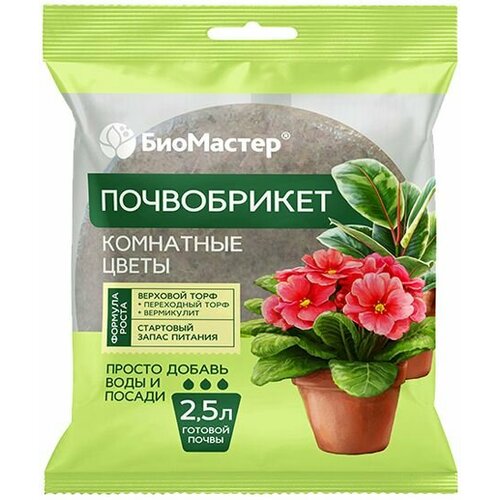 ������ ������ ����������� 