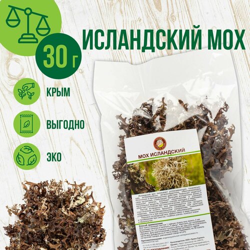 ������ ������ ���������� ��� �� �����, ��������, 30�� ����