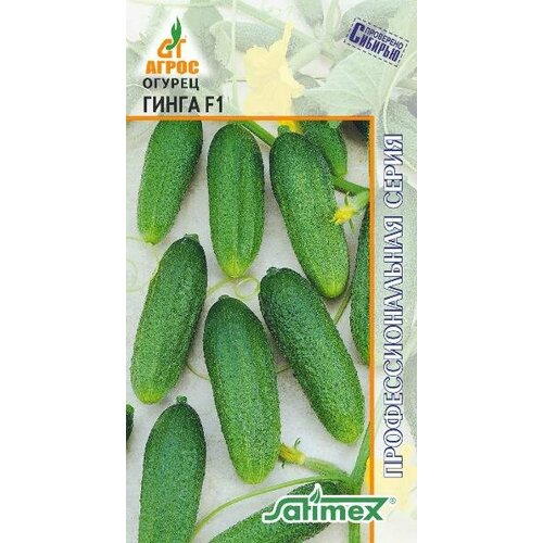 ������ ������ ������ ������ ����� F1 �������� 10�� ������������������ (�����) ����