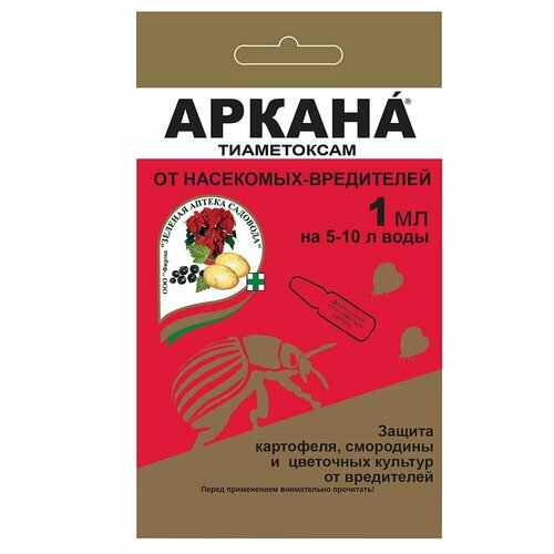 ������ ������ ������ 1�� �� ��������� ���������� 10/200 ��� ����