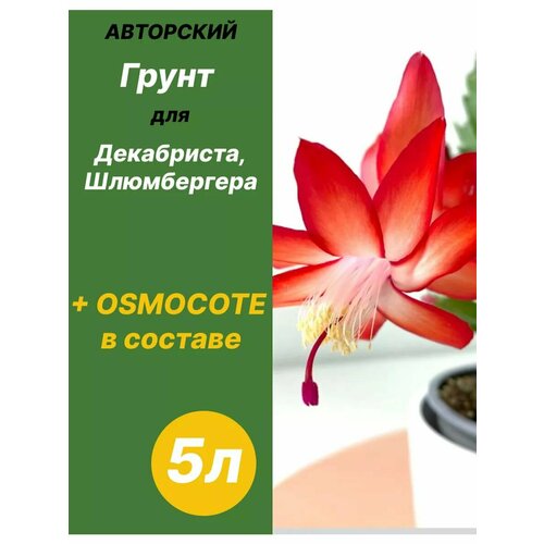 ������ ������ ����� ��� ����������, �����������, �������������� 5� ������� ����