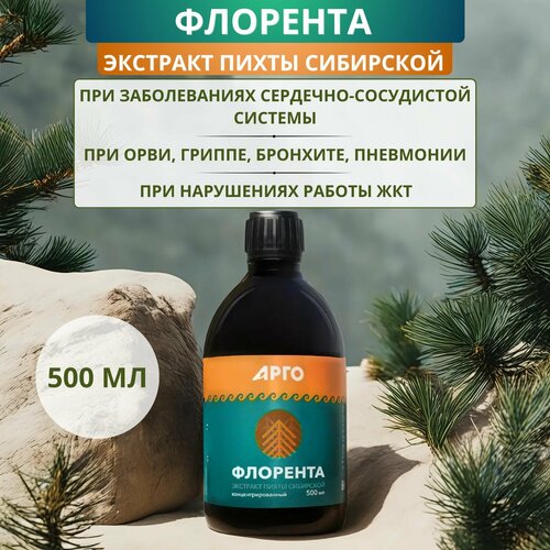 ������ ������ �������� (�������� ��������� �����), 500 �� ����