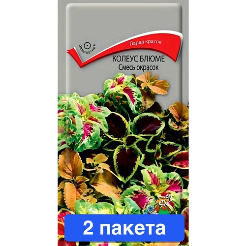 ������ ������ ����� ������ ����� ����� ������� 2 ������ ����