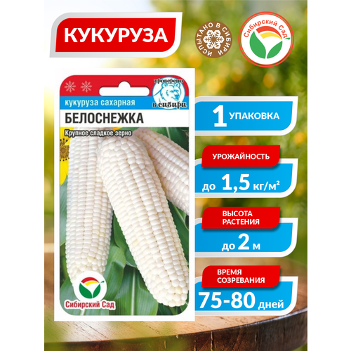 ������ ������ ������ �������� ���������� ������������ 10 ��./����. ����