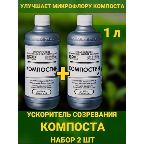 ������ ������ ���������, 1� ���������� ���������� �������� ����