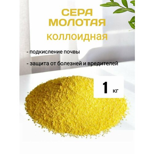 ������ ������ ���� ���������� ��������� 1 �� ����