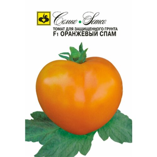 ������ ������ ������ ����� ��������� ���� F1 10�� ����� ������ (�����) ����