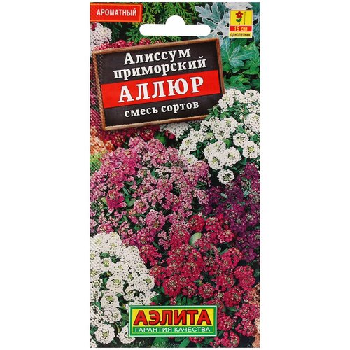 ������ ������ ������ ��������� ������ ������� ����� �����, 0.1 � ����