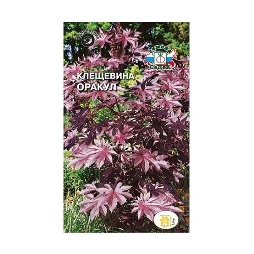 ������ ������ ������ ��������� ����� ������ 1 � ����