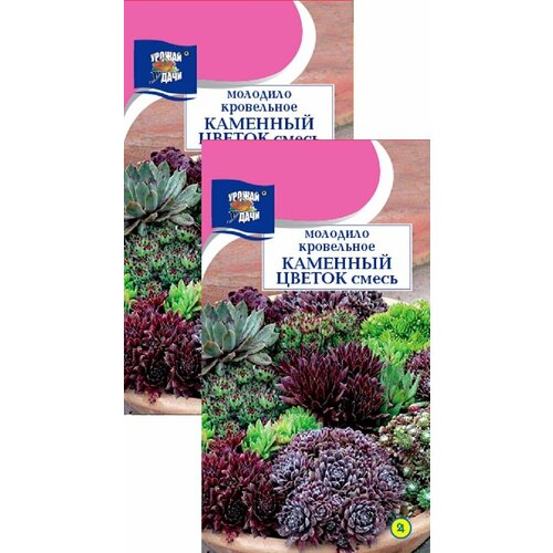 ������ ������ �������� �������� ������ ����� (0,005 �), 2 ������ ����