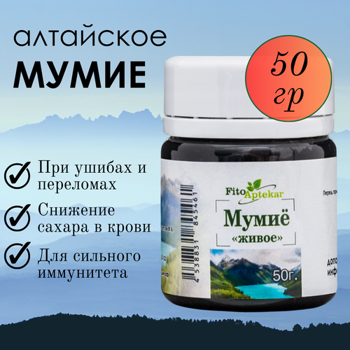 ������ ������ ���� ��������� ����� ����-�������� ��� �������� � ������ ������������, 50 �� ����