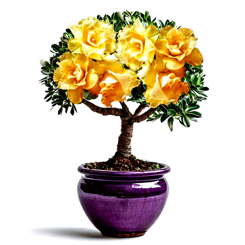 ������ ������ ������������ ������ ������� ������� ��� 3 ��. ����