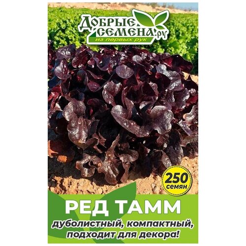 ������ ������ ������ ������ ��� ���� - 250 �� - ������ ������. �� ����