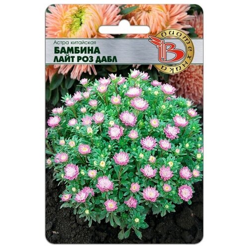 ������ ������ ������ ����� ��������� 